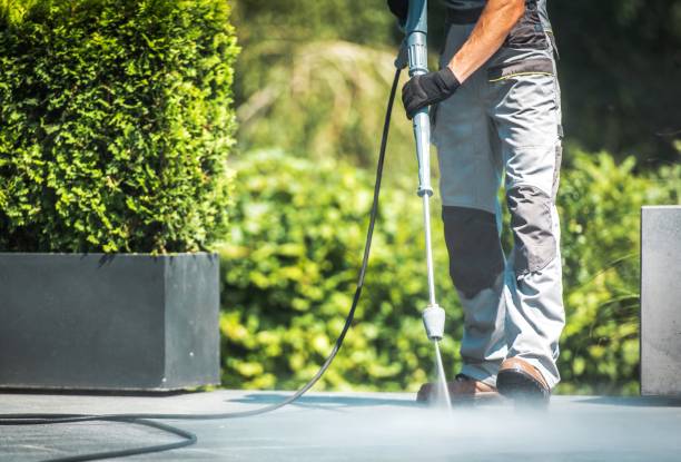 Animal Enclosure Cleaning in Eastman, GA